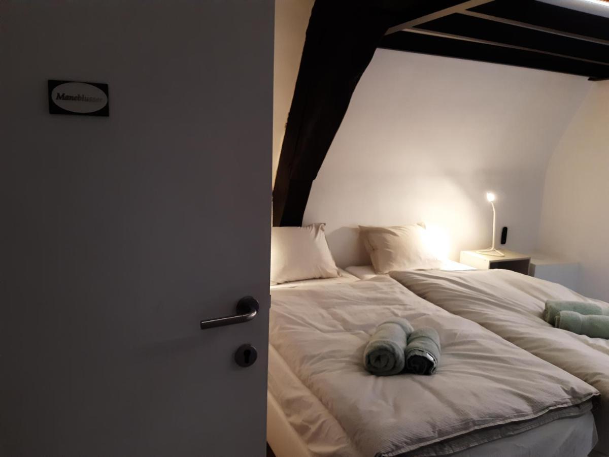 Het Maelslot Apartment Mechelen Exterior photo